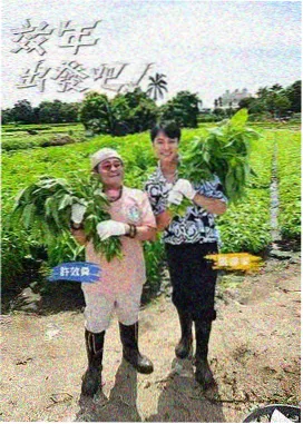 奔跑吧 综艺海报